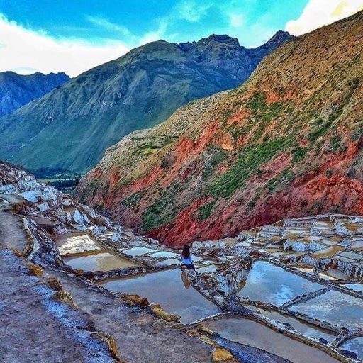 Maras Moray (2)